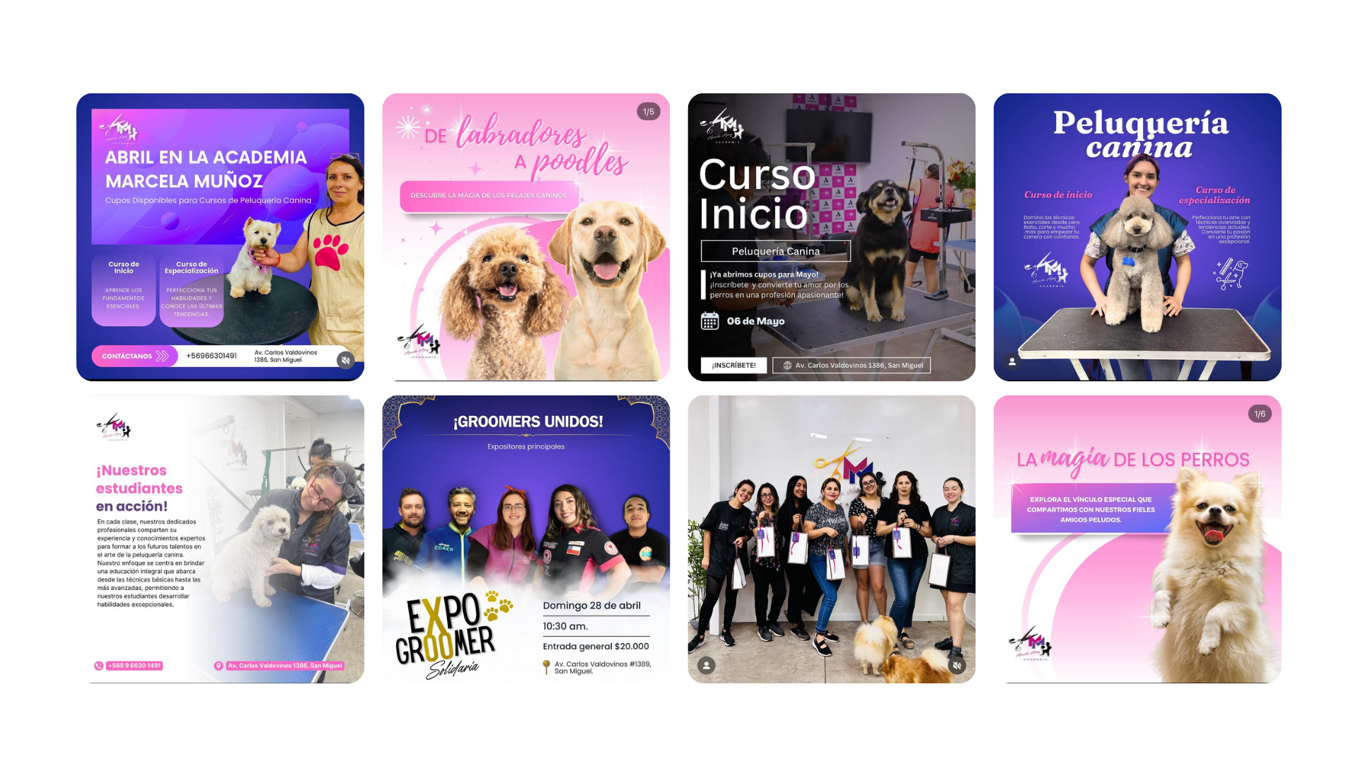 Academia Marcela Munoz social media management by SeaFox Design