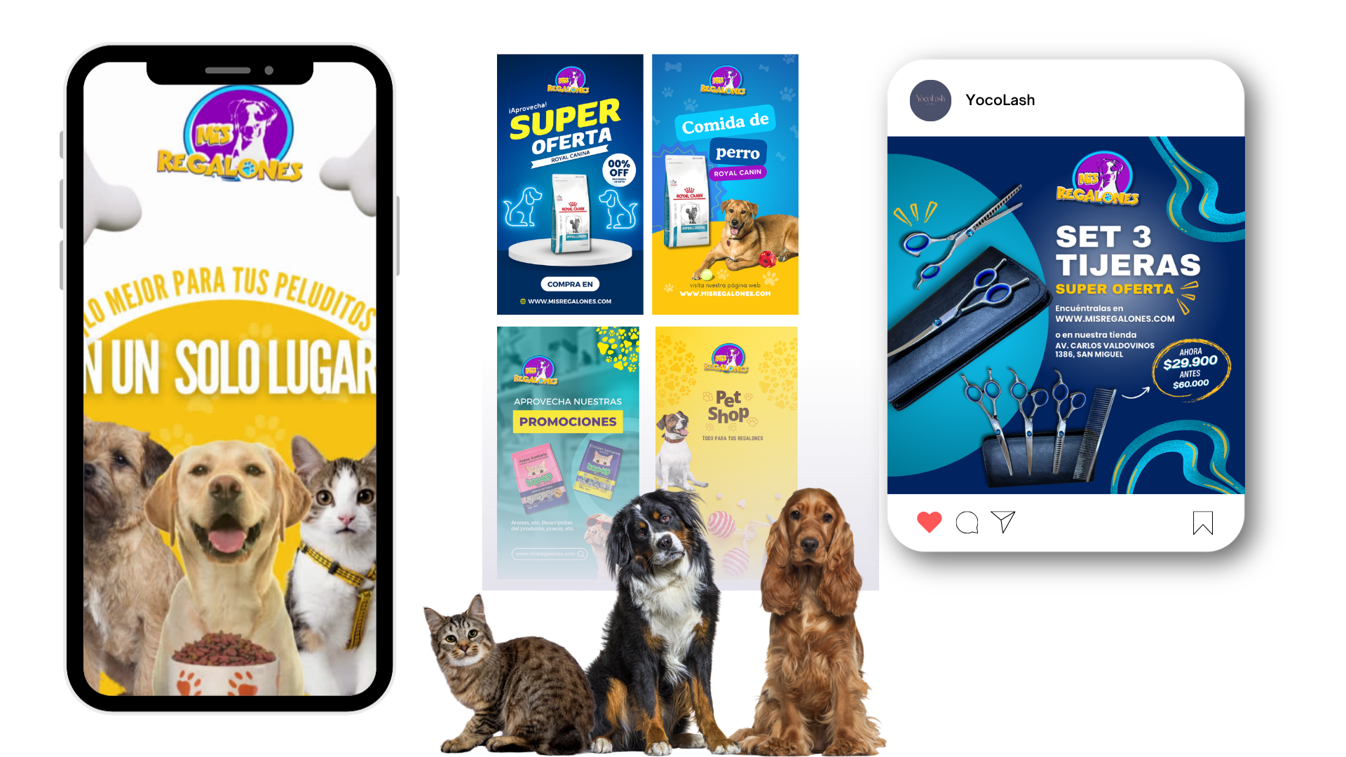 Mis Regalones social media management by SeaFox Design